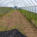 서면농장 이미지