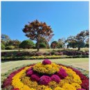 시민의 행정사 사무소 이미지