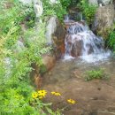 마음드리 이미지