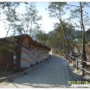 괴강주유소 이미지