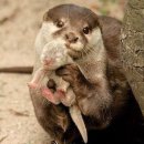 4공단로1R-38 | 프로포즈 여행기 🇮🇹 이탈리아 로마, 피렌체 7박 8일 ✈️ - 5. 우피치 미술관 / 산타마리아노벨라 대성당...