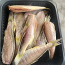 배오징어 두절조기 이미지