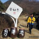 춘천맛집-풀내음(청국장) 이미지