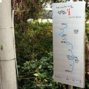 영천동 법호촌 이미지