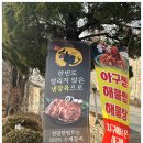 지구에서온아구해 이미지