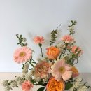 12/9 크리스마스 테라리움 이미지