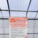 응골농장 네이버블로그