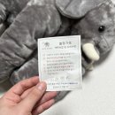 코끼리세탁 이미지