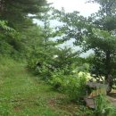 하얀농장 이미지