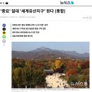 이야기둘