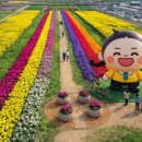 맹방관광지 이미지