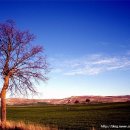 카미노-08.04.03 카미노 15일 [40.3km] Hontanas-Boadilla de camino 이미지