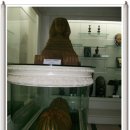 중원대학교박물관 이미지