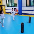 조한태권도장 이미지