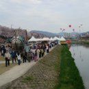 2008 정읍 벚꽃 축제 (벚꽃구경하세요) 이미지