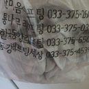 한국동강래프팅