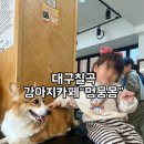 멍뭉몽 네이버블로그