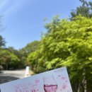 워커힐 와인페어 2026 봄 1부 참석 후기 포레스트파크