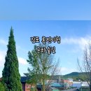 통진현감부사선정비 이미지