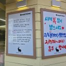 안양-관양-관양-501 | 평촌 안양 관양시장 빵집 베이커리 맛집 토끼네빵 더티초코 크로와상