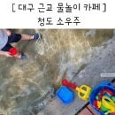 화니그릇타올 | 청도 소우주 대구 근교 물놀이카페 추천 주말 방문 후기