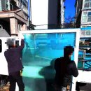 대동유리 - 영광군 진굴비길 30-14 | 대동유리