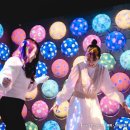 포레스트랩