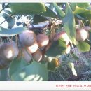 산동농장 이미지