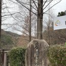 일광대복집 | 기장가볼만한곳 ‘용소웰빙공원’ / 기장맛집 ‘일광대복집’