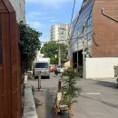 사랑방고가구 | 제주 카페단단 | 두 번, 세 번, 네 번 가야 하는 이유가 있는 곳 ☕🧱, 제주여행 큐레이션 포함