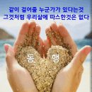 1세에서 100세까지 나이별 해설 이미지