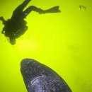 상어피시방 이미지