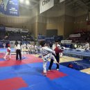 효자 태권도장 이미지