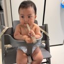 9개월 아기 후기 이유식 2탄｜무른밥 거부! 후기 이유식 마지막 기록,10개월 유아식 준비