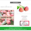 덕흥주식회사 네이버블로그