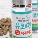 녹우컴파운드 네이버블로그