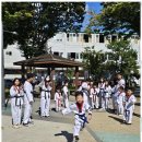 용인대멋진태권도 이미지