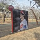 희망 → 기대 → 응원 → 욕 → 침묵 (SSG 팬 하루 루틴)