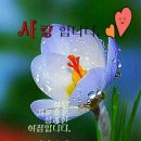 만남 이미지