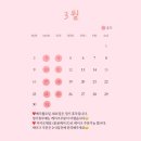 윤윤케이크 네이버블로그