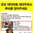 루비주유소 이미지