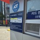 반려견 산책하기 좋은 부산 초읍 어린이대공원 성지곡 수원지 방문 후기
