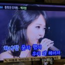 카페일리터동백