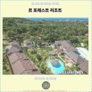 힐탑포레스트 | 푸꾸옥 여행과 숙소 : 르 포레스트 리조트 추천