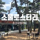 힐링소울 | [춘천 대형카페] 소나무가 울창한 힐링하러 가기 좋은 곳 "소울로스터리" 내돈내산 후기
