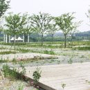 백마강오토캠핑장 네이버블로그