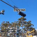 다이소 경동시장점 이미지