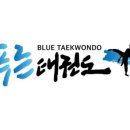푸른태권도 이미지