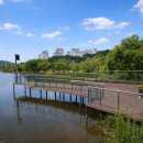 장자호수공원(시민의숲) | 꽃구경하기 좋은 5곳 (일산 호수공원·안산 호수공원·양재 시민의숲·부천 중앙공원·파주 운정 호수공원)