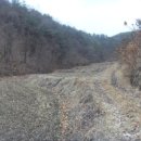 삼동면 물건1 이미지